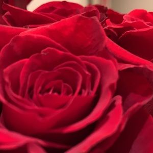 Meet your Posher, Marylene